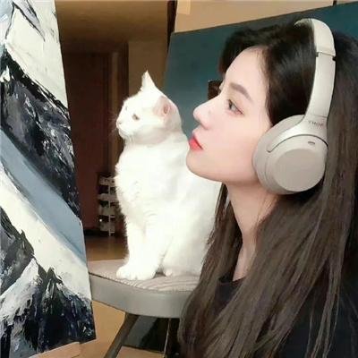 紫色档案