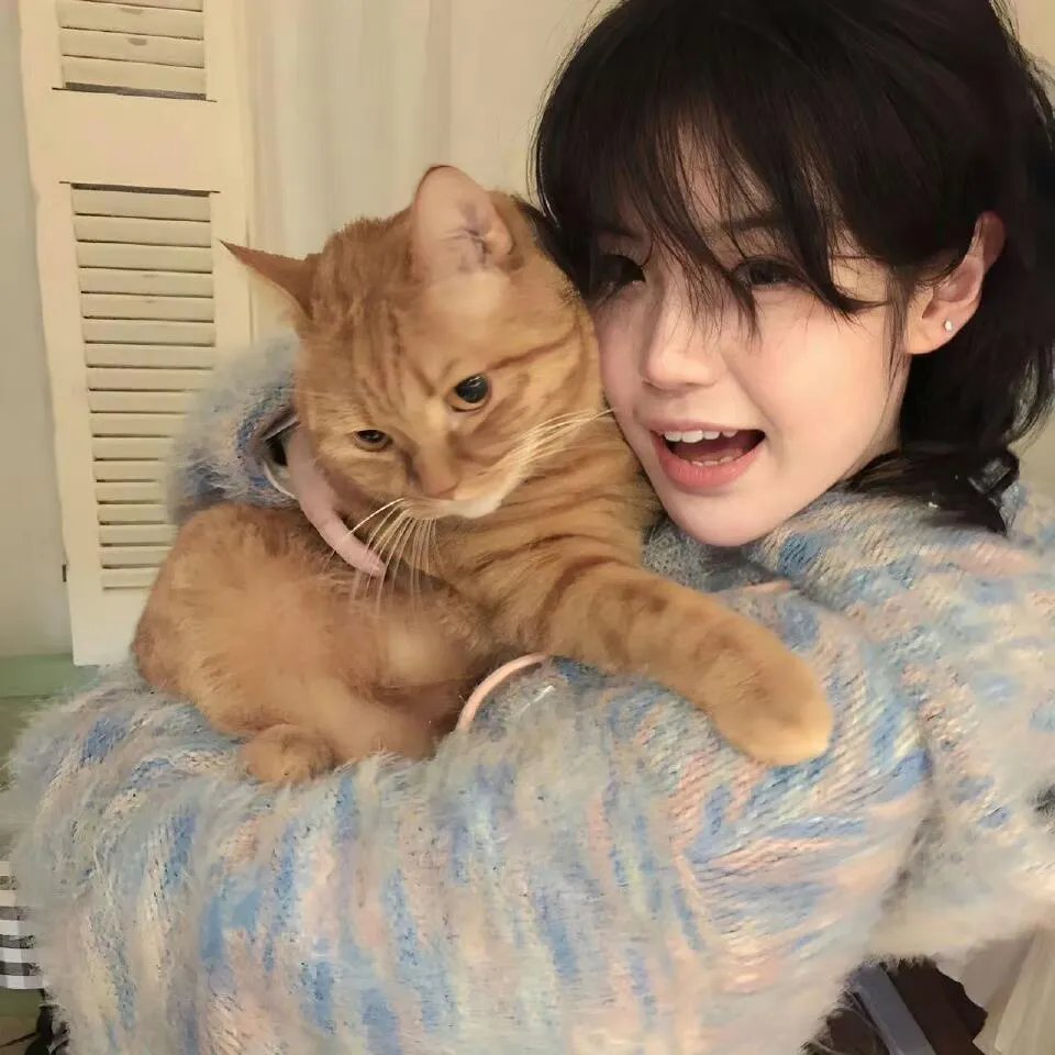 泰山与宝藏